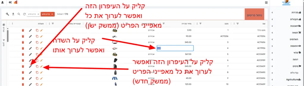 עמודת הפעולות בצד השורה: לחיצה על שדה עורכת אותו ישירות במקום, ולחיצה על סמל העיפרון פותחת חלונית עריכה מלאה לכל פרטי השורה